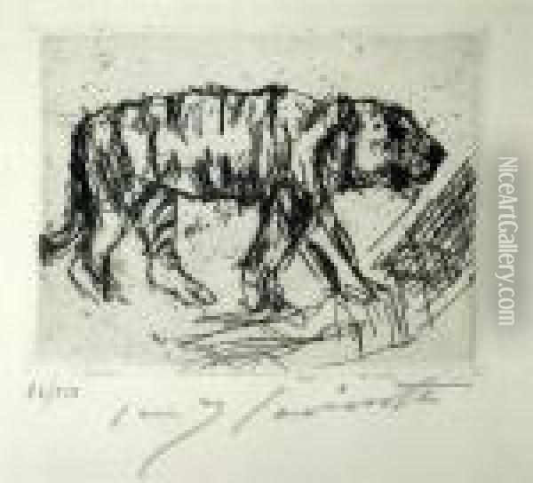 Schreitender Tiger Oil Painting - Lovis (Franz Heinrich Louis) Corinth