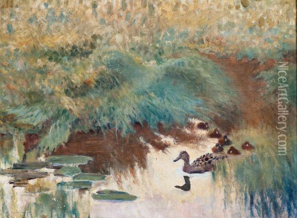 Ducks. Oil Painting - Carl Otto Danielson