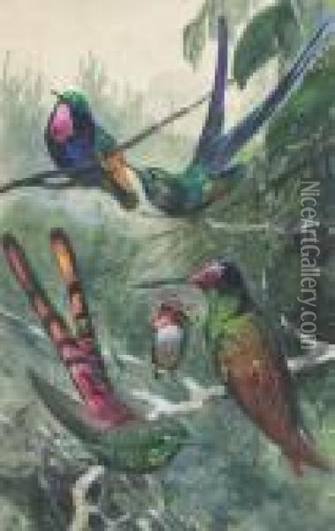 Wildlife And Ornithological Studies (one Illustrated) Oil Painting - Wilhelm Kuhnert