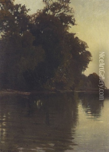 Baume Am Seeufer Oil Painting - Karl Raupp