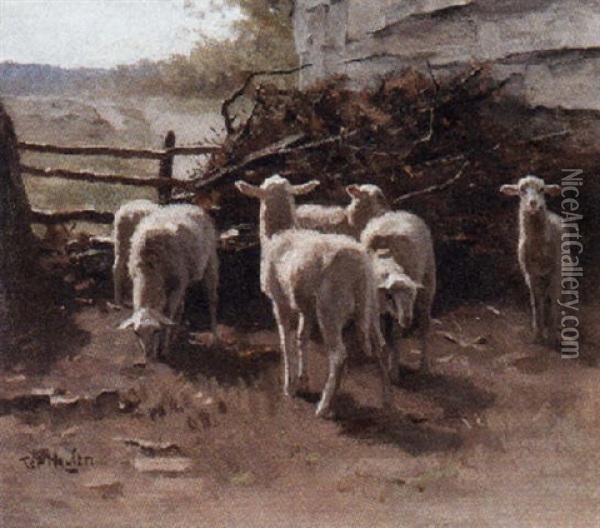 A Flock Of Lambs In Pasture Oil Painting - Francois Pieter ter Meulen
