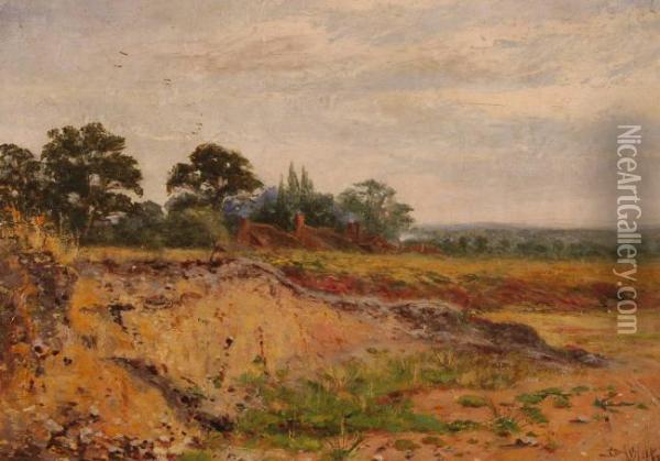 D Nisbet 19th Century Oil On Canvas, Rurallandscape, Signed, 10