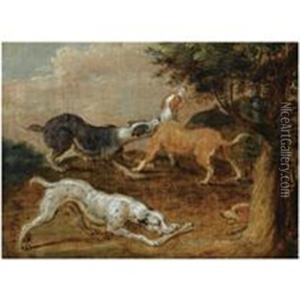 Four Hounds In A Wooded Landscape Oil Painting - Abraham Danielsz Hondius