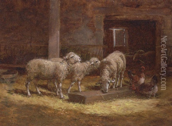 Sheep And Chickens In A Barn Oil Painting - Charles H. Clair