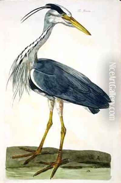The Heron Ardea cinerea plate from The British Zoology, Class II Birds, engraved by Peter Mazell fl.1761-97 1766 Oil Painting - Peter Paillou