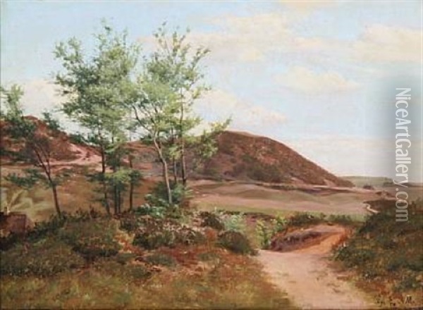 Moor Landscape From Ry, Denmark Oil Painting - Andreas Peter Madsen