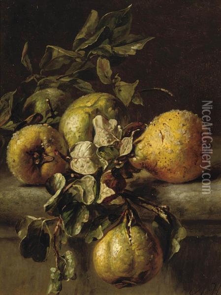 A Branch Of Quinces On A Ledge Oil Painting - Adriana-Johanna Haanen