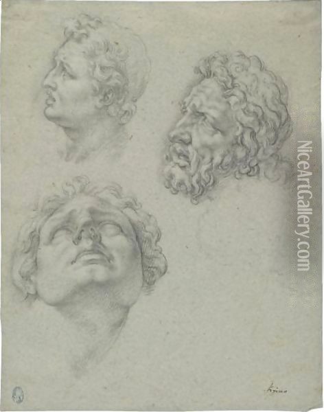 Studies Of Heads After The Laocoon Oil Painting - Giovanni Ambrogio Figino