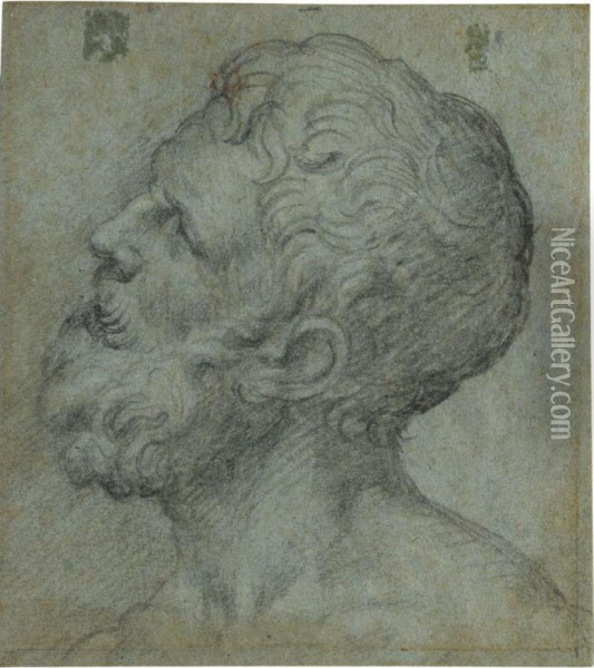 Head Of A Man, Looking Upwards To The Left Oil Painting - Giuseppe Salviati