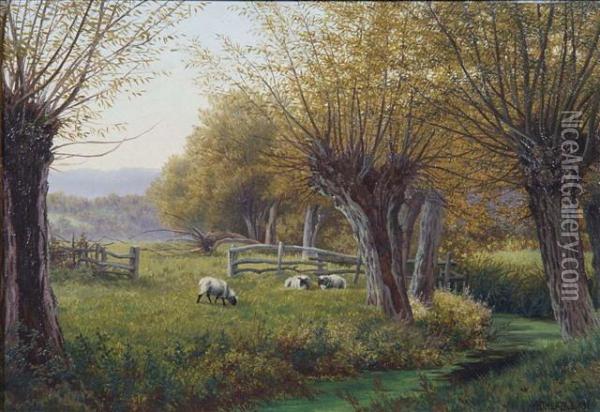 Sheep Grazing In A Wooded Landscape Oil Painting - Henry Cheadle