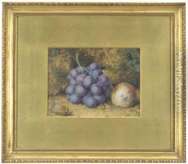 Grapes, Crab-apple And A Chestnut Oil Painting - William Hough