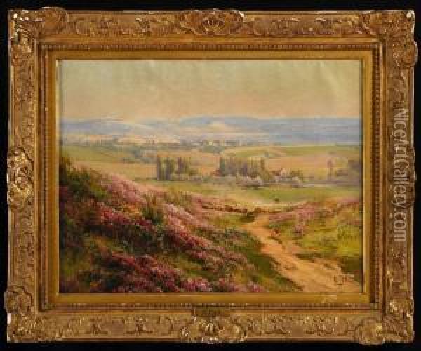 Hills In Bloom Oil Painting - Edouard Pail