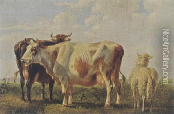 Cattle Oil Painting - Albertus Verhoesen