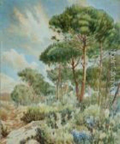 Bosque Oil Painting - Lluis Roig Ensenat