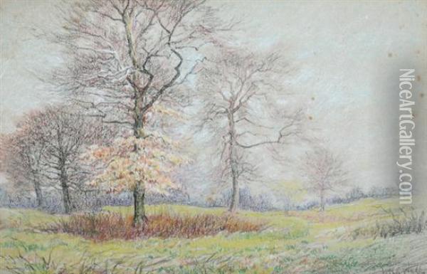 Group Of Trees In Autumn Landscape Oil Painting - Hugh Newell