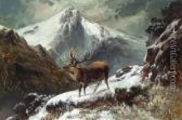 A Stag In A Midnight Winter Landscape Oil Painting - Clarence Roe