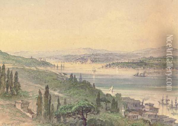 A View Of The Bosphorus From Arnavutkoy To The North Oil Painting - Amadeo Preziosi