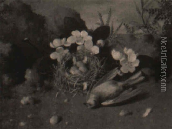 Still Life With Bird And Fallen Nest Oil Painting - William Cruickshank