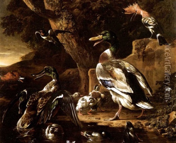 Enten Und Ein Wiedehopf Oil Painting - Melchior de Hondecoeter