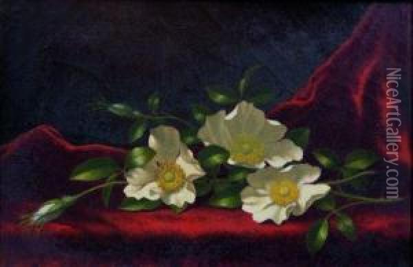 Still Life With Cherokee Roses Oil Painting - Martin Johnson Heade