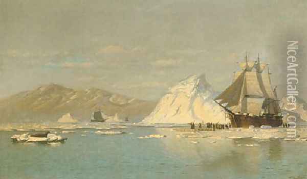 Off Greenland Whaler Seeking Open Water Oil Painting - William Bradford