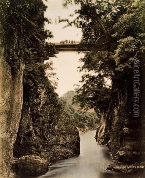 Giappone. Sarubashi Monkey Bridge. Oil Painting - Adolfo Farsari
