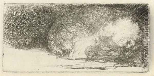 A sleeping Puppy Oil Painting - Rembrandt Van Rijn