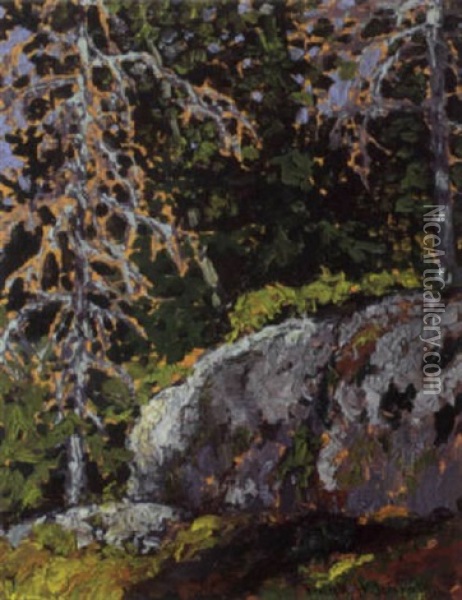 Lichen, Lake Of The Woods Oil Painting - Francis Hans Johnston