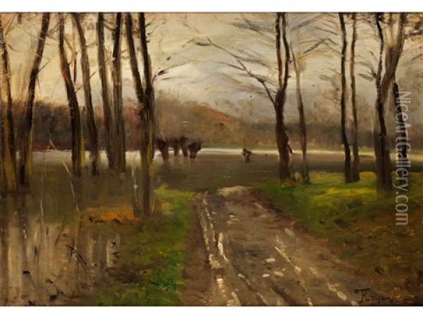 Herbstliche Landschaft Oil Painting - Federico Rossano