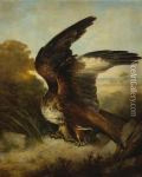 A Snake In The Talons Of An Eagle Oil Painting - Landseer, Sir Edwin