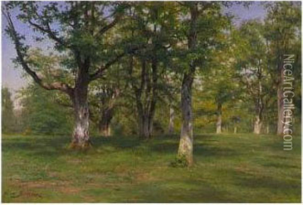 Foret De Fontainebleau: Le Printemps Au Bois Oil Painting - Rosa Bonheur