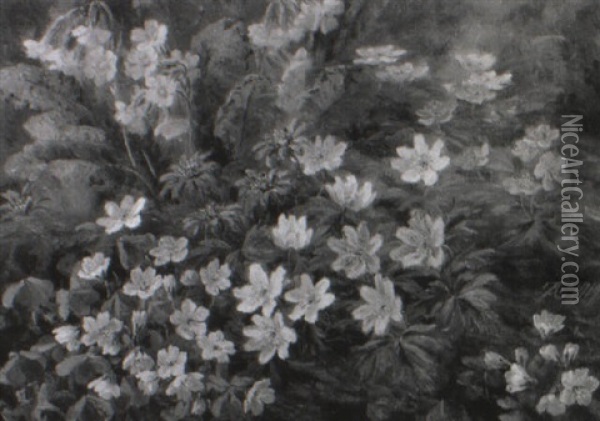 Blomstrende Anemoner Og Kodriver Oil Painting - Anthonie Eleonore (Anthonore) Christensen