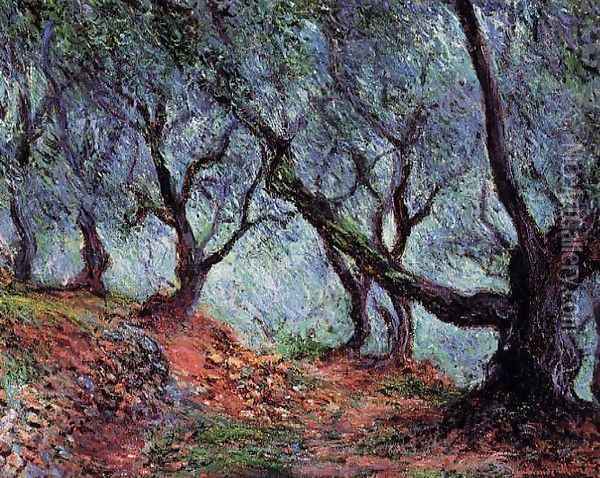 Grove Of Olive Trees In Bordighera Oil Painting - Claude Oscar Monet