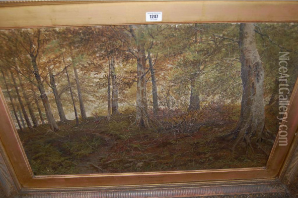 Heaming Wood, Yorkshire Oil Painting - Henry John Kinnnaird