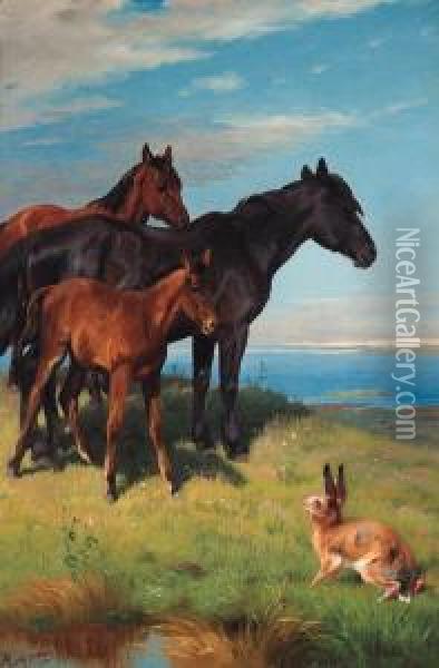 Ponies And A Hare Overlooking The Sea Oil Painting - Adolf Henrik Mackeprang