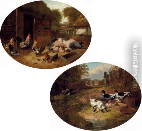Pigs And Chickens In A Farmyard Oil Painting - John Frederick Herring Snr