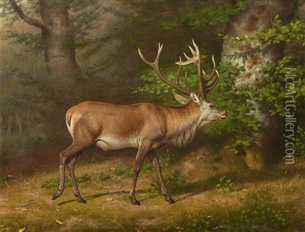 A Deer Oil Painting - Friedrich Anton Kilp