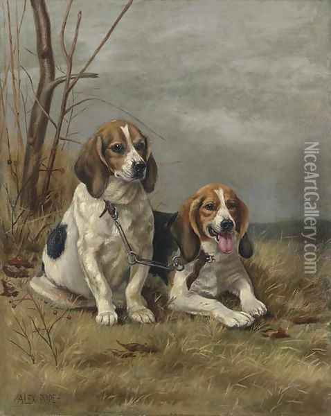 Two Hounds Oil Painting - Alexander Pope