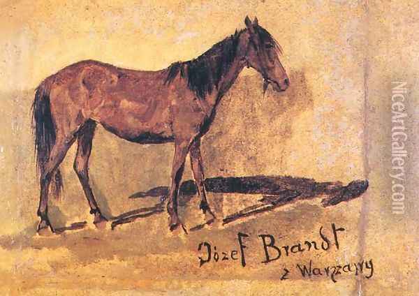 Study of a Horse Oil Painting - Josef von Brandt