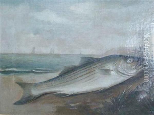 A Fish On The Shore Oil Painting - Walter M. Brackett