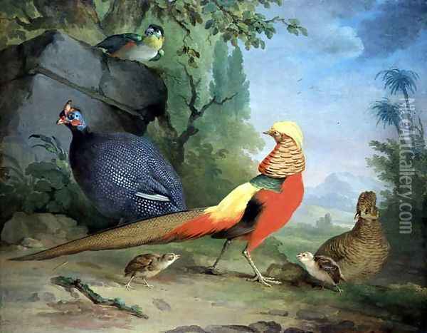 Wild Fowl Oil Painting - Aert Schouman