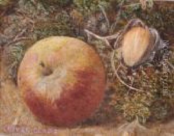 Still Life Study Fruit On A Mossy Bank Oil Painting - Oliver Clare