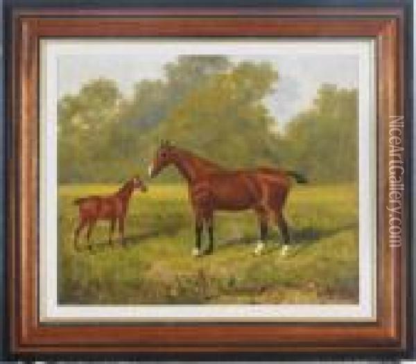 A Chestnut Mare With Her Foal Oil Painting - James Senior Clark