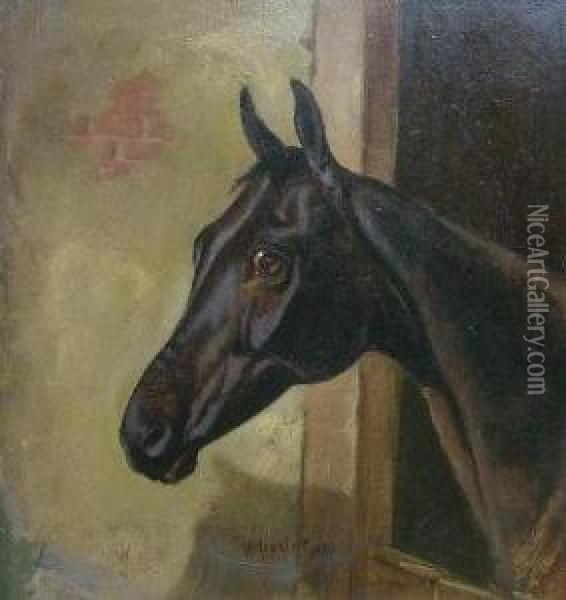 A Dark Bay Horse In A Stable Oil Painting - Of John Alfred Wheeler