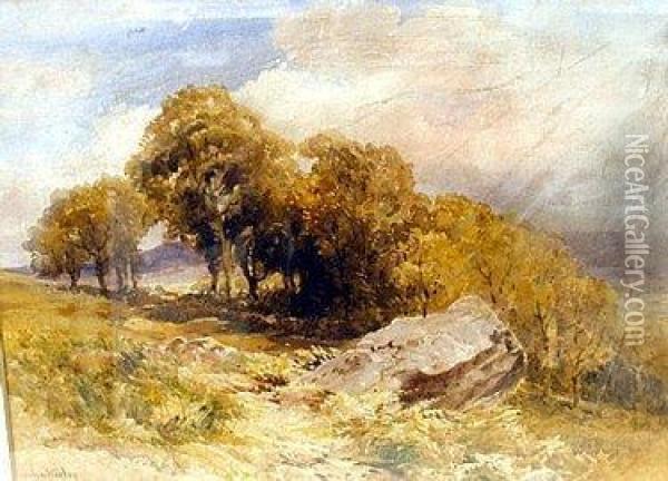 On The Hillside Near Bontnewydd, North Wales Oil Painting - John Keeley
