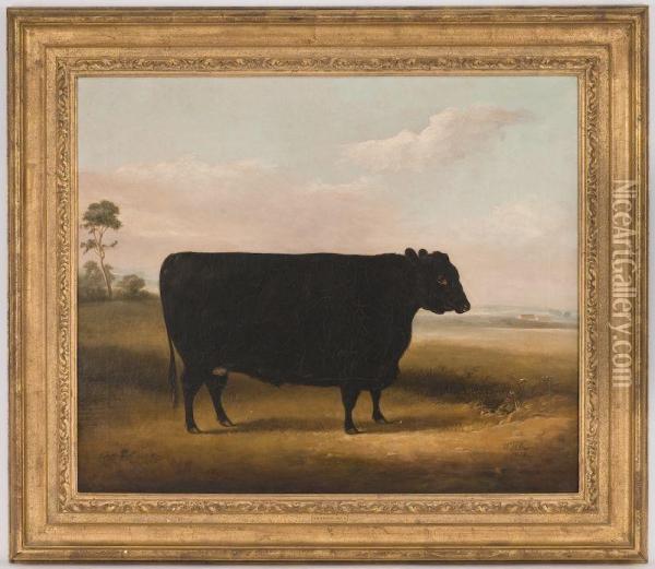 Depicting A Cow In A Landscape Oil Painting - William Henry Davis