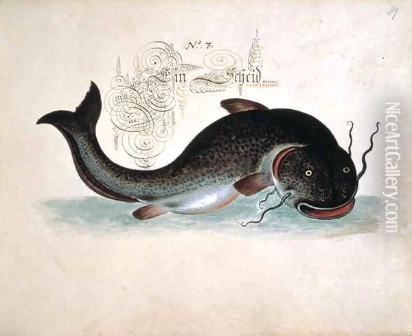 Catfish Oil Painting - Leonhard Baldner
