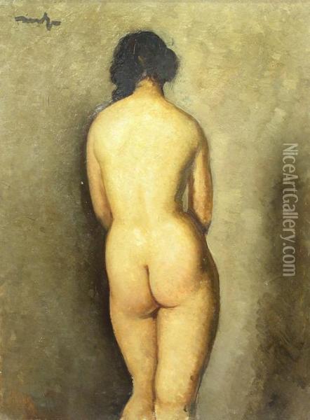 Nude Seen From The Back Oil Painting - Nicolae Tonitza
