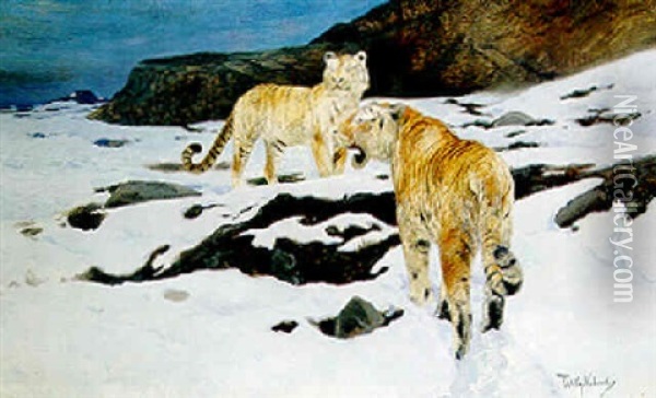 Tigers In The Snow Oil Painting - Wilhelm Friedrich Kuhnert
