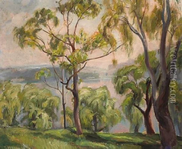 Above Silver Lake Oil Painting - Edouard Vysekal